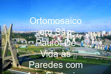 Ortomosaico em São Paulo: Dê Vida às Paredes com Arte Exclusiva