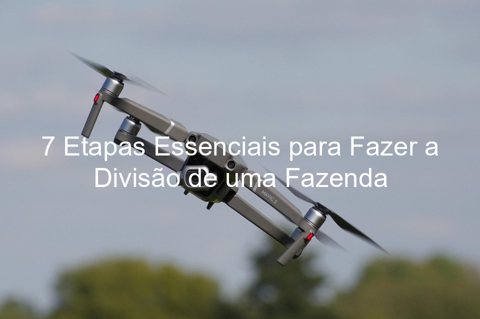 7 Etapas Essenciais para Fazer a Divisão de uma Fazenda