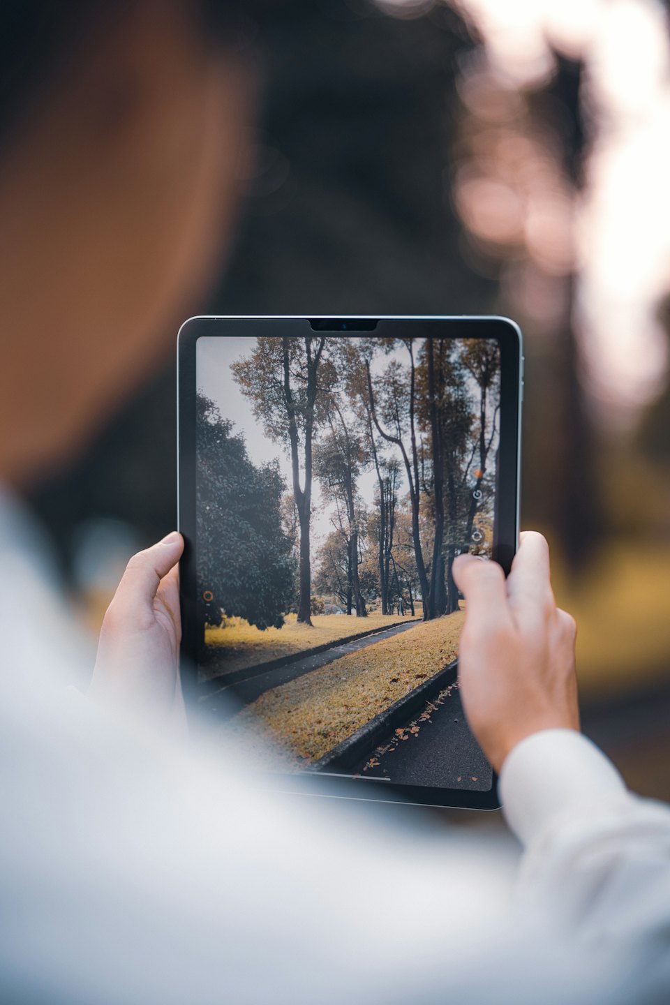 Person uses tablet camera to photograph a park scene.