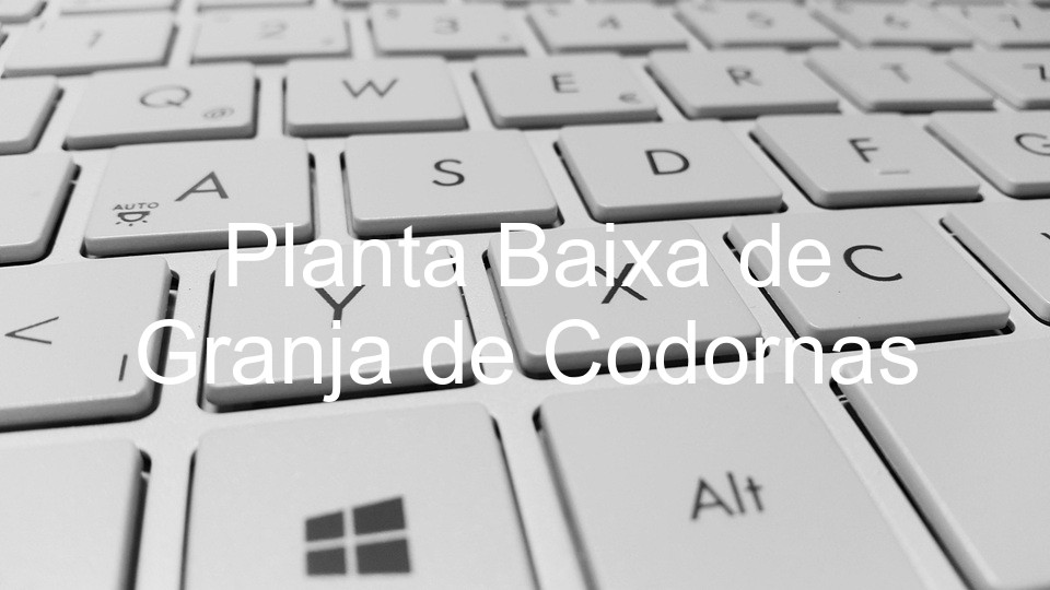 Planta Baixa de Granja de Codornas