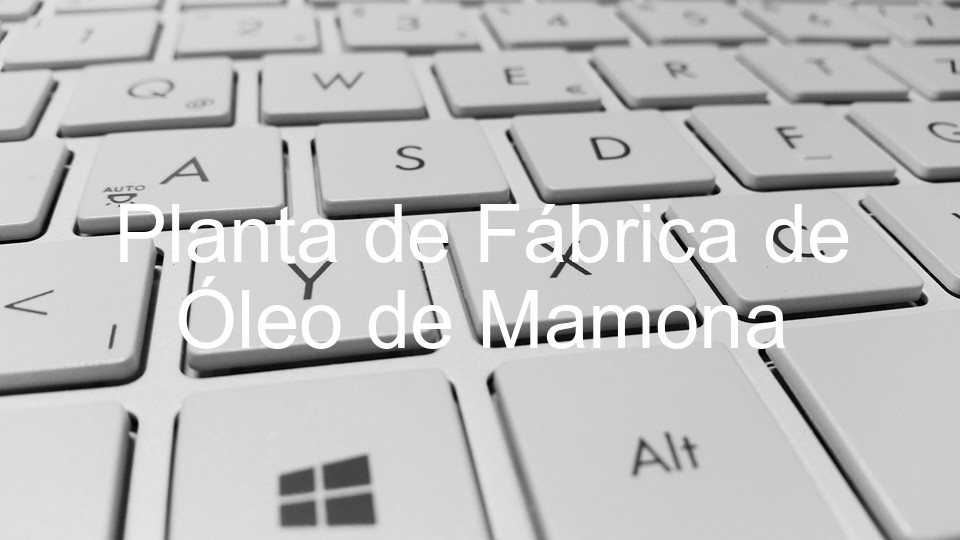 Planta de Fábrica de Óleo de Mamona