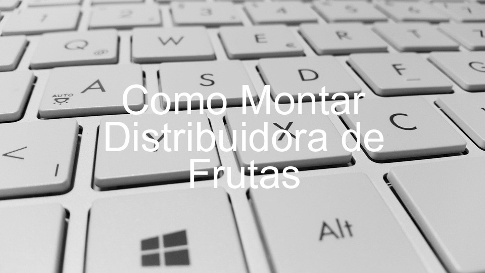 Como Montar Distribuidora de Frutas