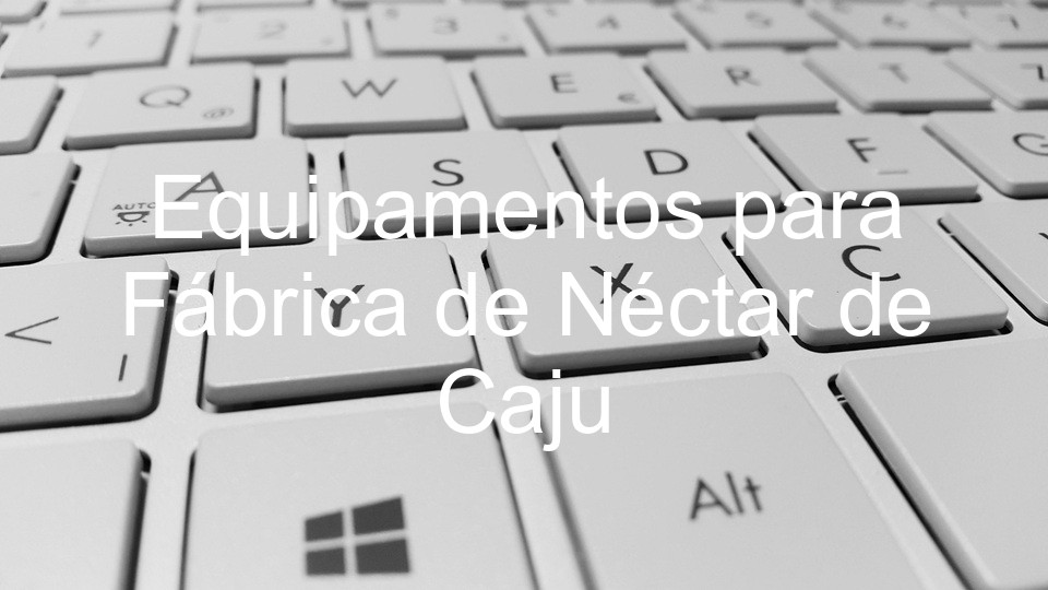 Equipamentos para Fábrica de Néctar de Caju