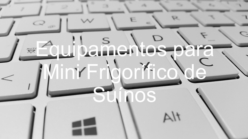 Equipamentos para Mini Frigorífico de Suínos