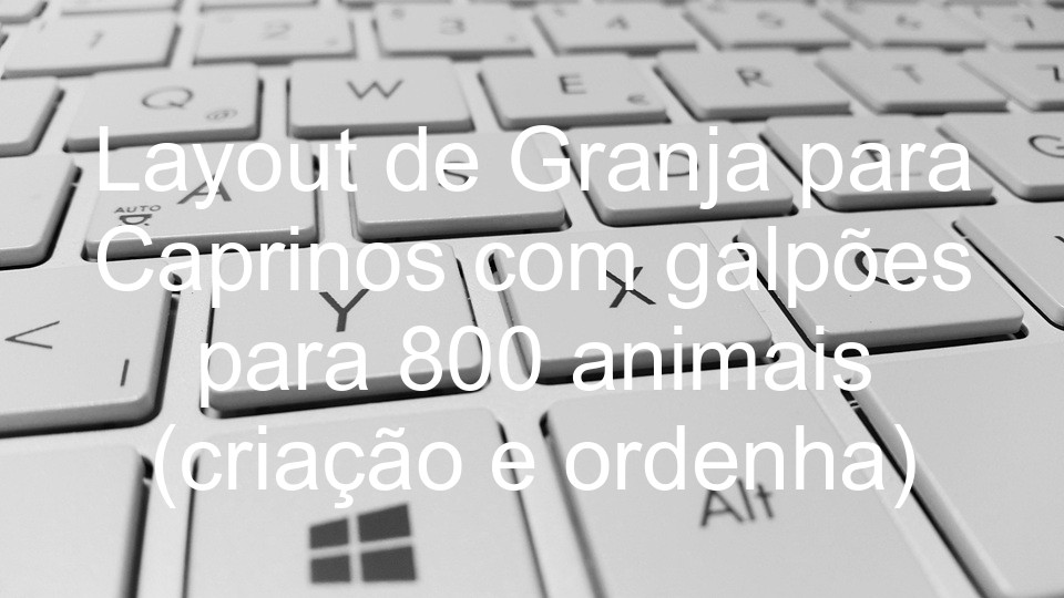 Layout de Granja para Caprinos com galpões para 800 animais (criação e ordenha)