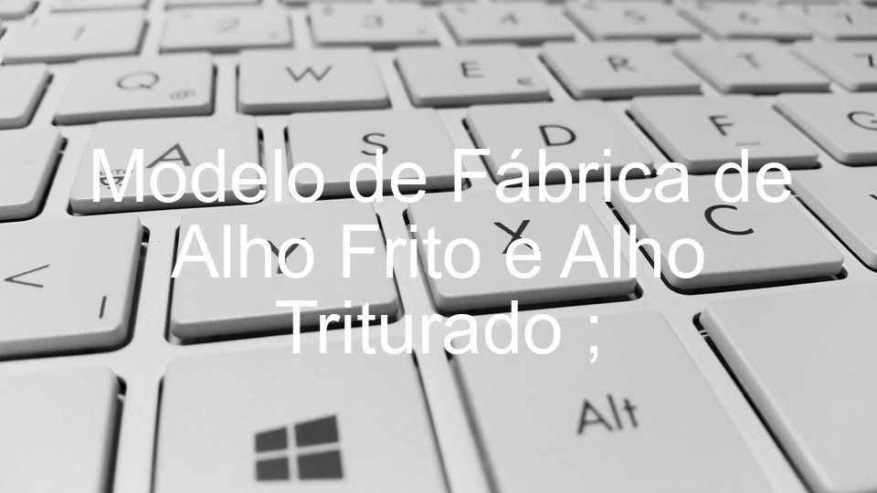 Modelo de Fábrica de Alho Frito e Alho Triturado ;