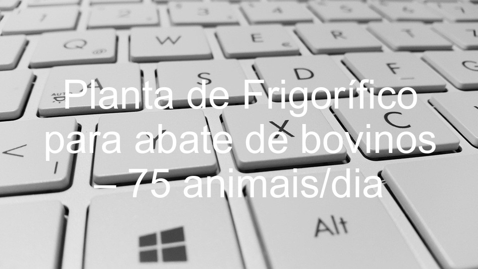 Planta de Frigorífico para abate de bovinos – 75 animais/dia