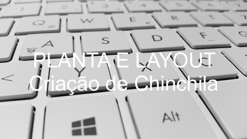 PLANTA E LAYOUT Criação de Chinchila
