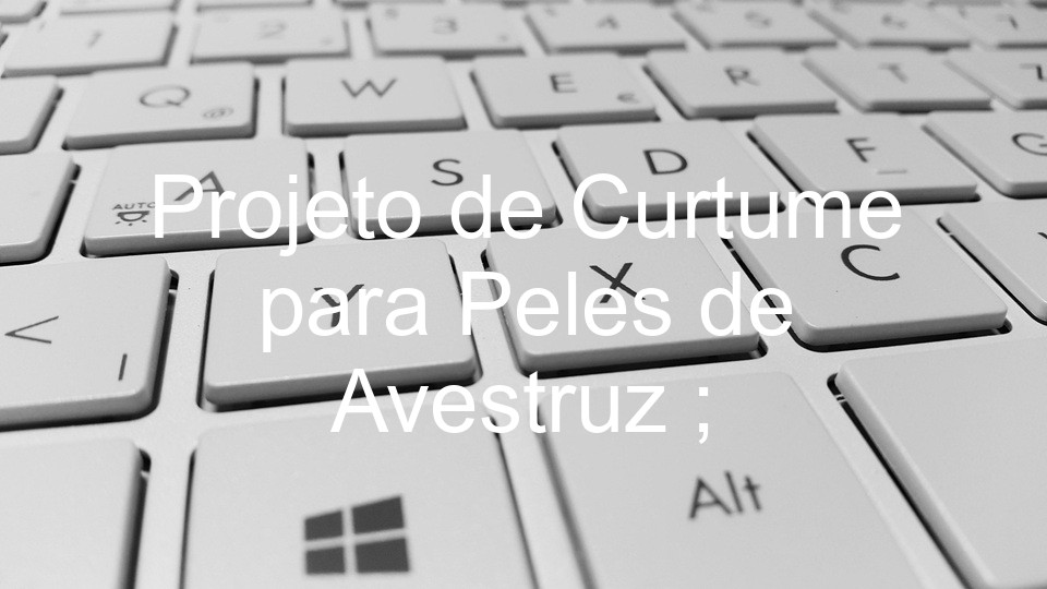 Projeto de Curtume para Peles de Avestruz ;