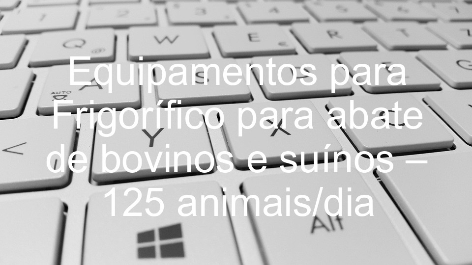 Equipamentos para Frigorífico para abate de bovinos e suínos – 125 animais/dia