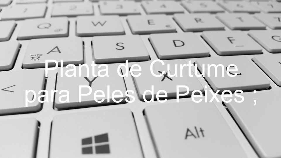 Planta de Curtume para Peles de Peixes ;