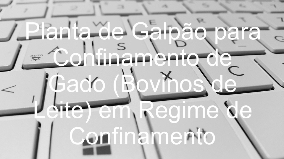 Planta de Galpão para Confinamento de Gado (Bovinos de Leite) em Regime de Confinamento